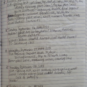 dailylogwritten_Page_05_Image_0001