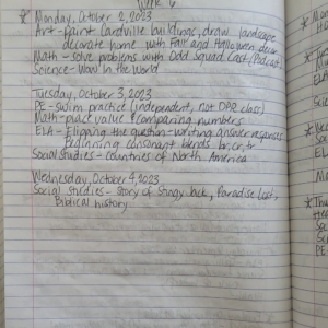 dailylogwritten_Page_06_Image_0001