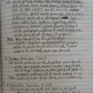 dailylogwritten_Page_11_Image_0001